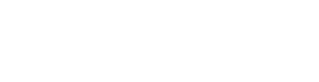 Microsoft Partners Logo