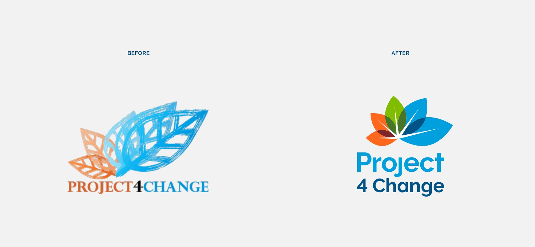 Vesanique Branding Redesign Portfolio for Project4Change